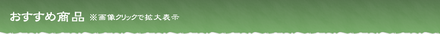 おすすめ商品