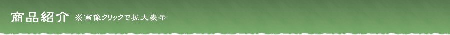 商品紹介